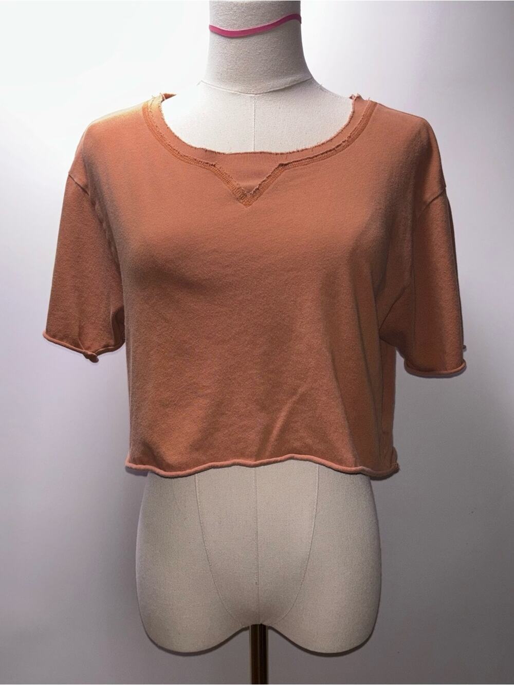 Offline by aerie Cropped Raw Hem Tee in Rust Size XS